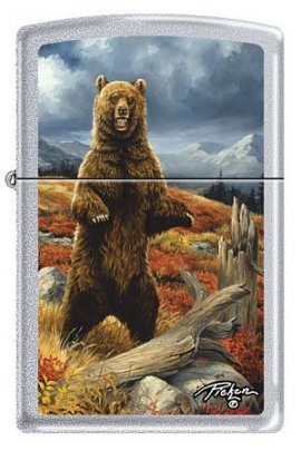 Zippo Bear