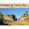 Räucherkasten Smokes of  Santa Fe Feuer und Glas