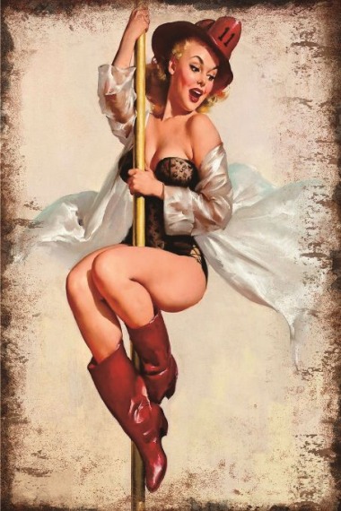 Blechschild Pin up Pole