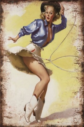 Blechschild Pin up Cowgirl Lasso