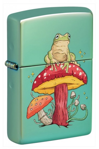 Zippo 48973 Mystical Frog Design