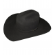 Rodeo King Rodeo Lowrodeo 5x  Beaver Slate